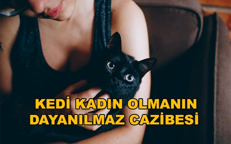 Kedi Kadın Olmanın Dayanılmaz Cazibesi - Leyla Önder