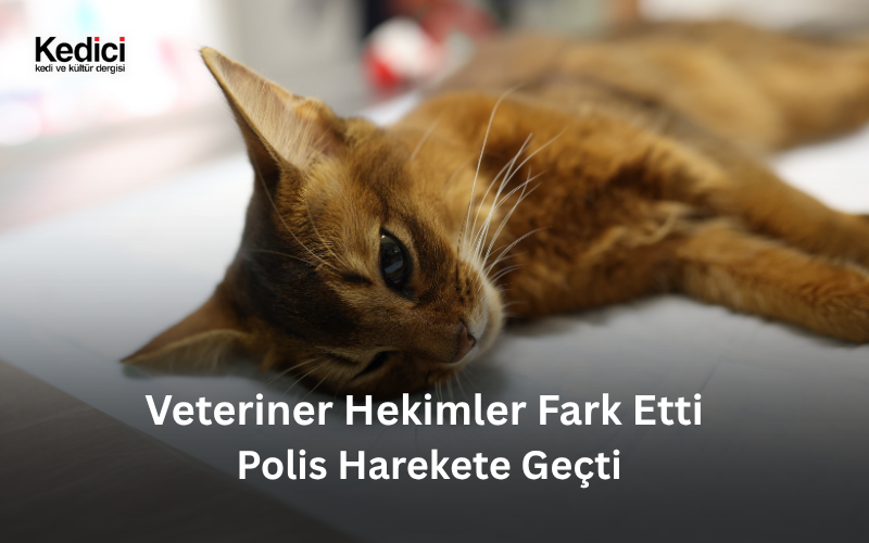 Veteriner Hekimler Fark Etti , Polis Harekete Geçti