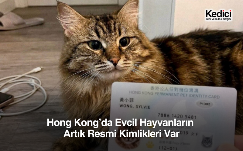 Hong Kong’da Evcil Hayvanların 
Artık Resmi Kimlikleri Var