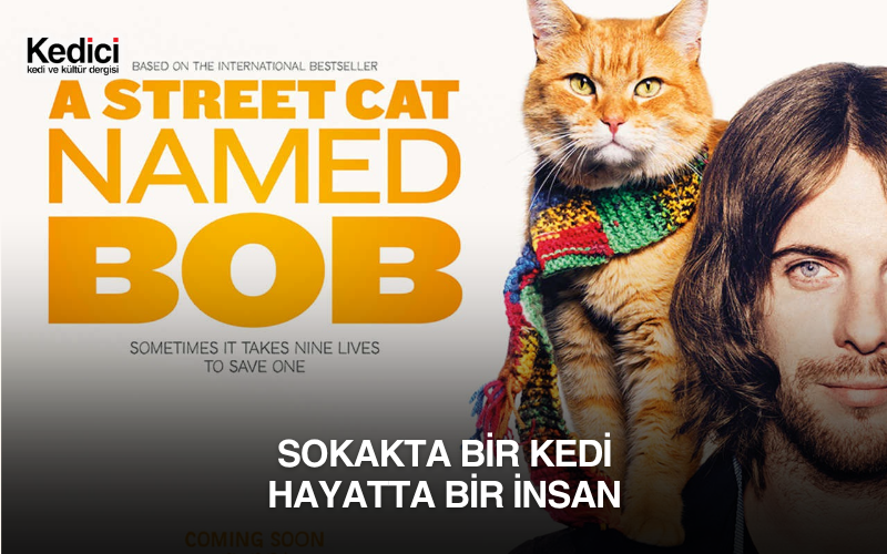 Sokakta Bir Kedi Hayatta Bir İnsan