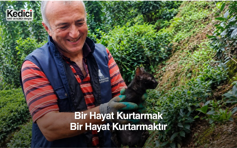 Bir Hayat Kurtarmak Bir Hayat Kurtarmaktır