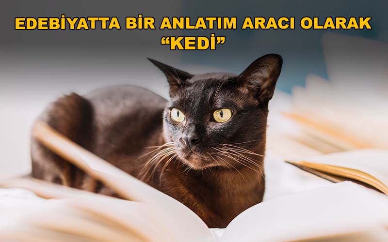 Edebiyatta Bir Anlatım Aracı Olarak Kedi - İ. Ethem Polat