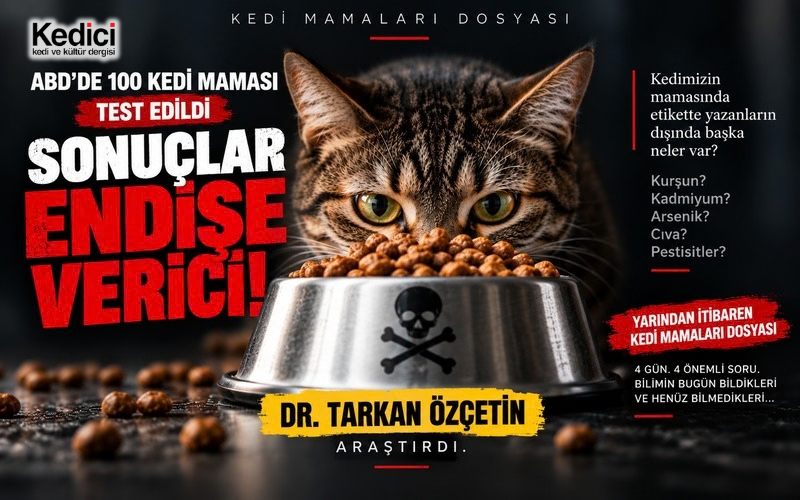 ABD’DE 100 KEDİ MAMASI TEST EDİLDİ:
SONUÇLAR ENDİŞE VERİCİ!
