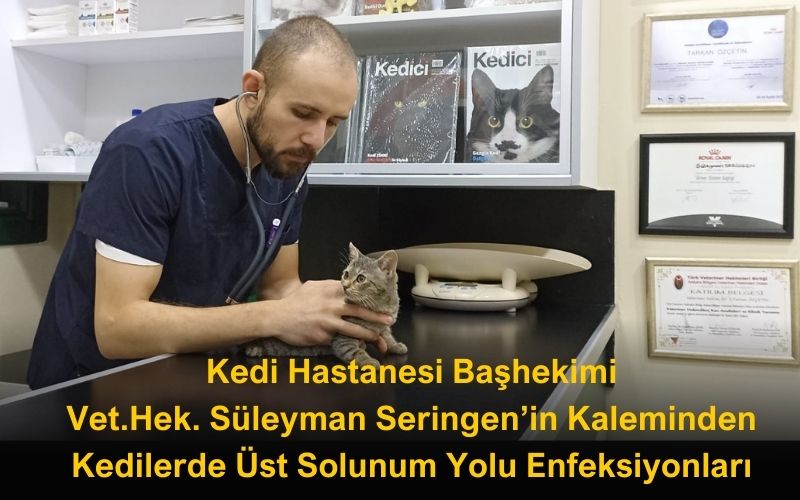 Vet.Hek. Süleyman Seringen Kedici Okurları İçin Yazdı " ÜSYE"