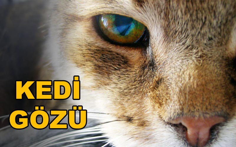 Kedi Gözü - Erman Pektezel 