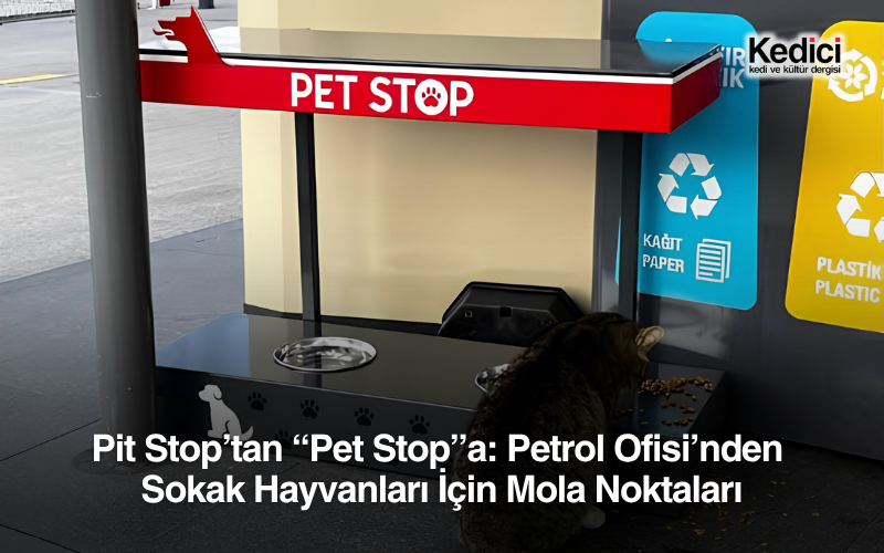 Pit Stop’tan “Pet Stop”a: Petrol Ofisi’nden 
Sokak Hayvanları İçin Mola Noktaları