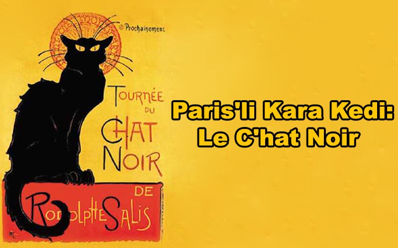 Paris'li Kara Kedi: Le C'hat Noir - Dr. Başak Tolga 