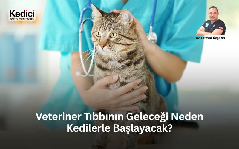 Veteriner Tıbbının Geleceği Neden Kedilerle Başlayacak?