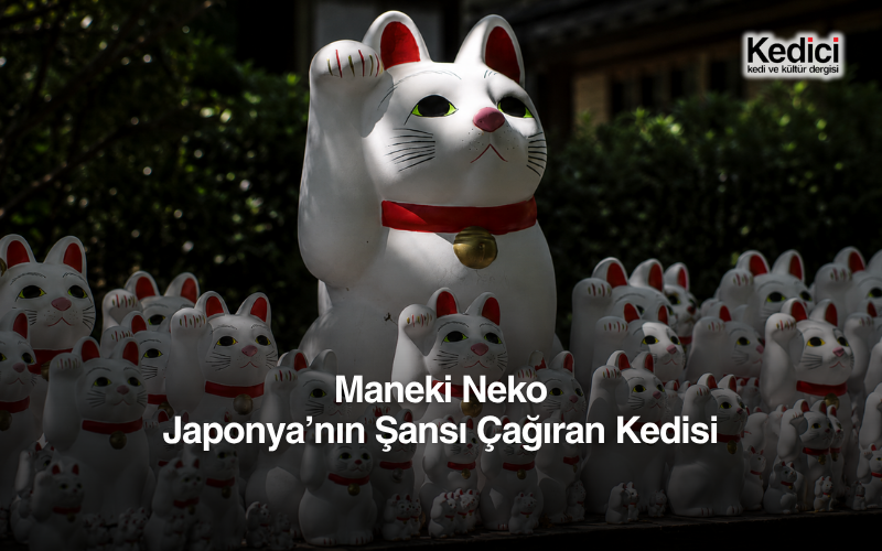 Maneki Neko
Japonya’nın Şansı Çağıran Kedisi