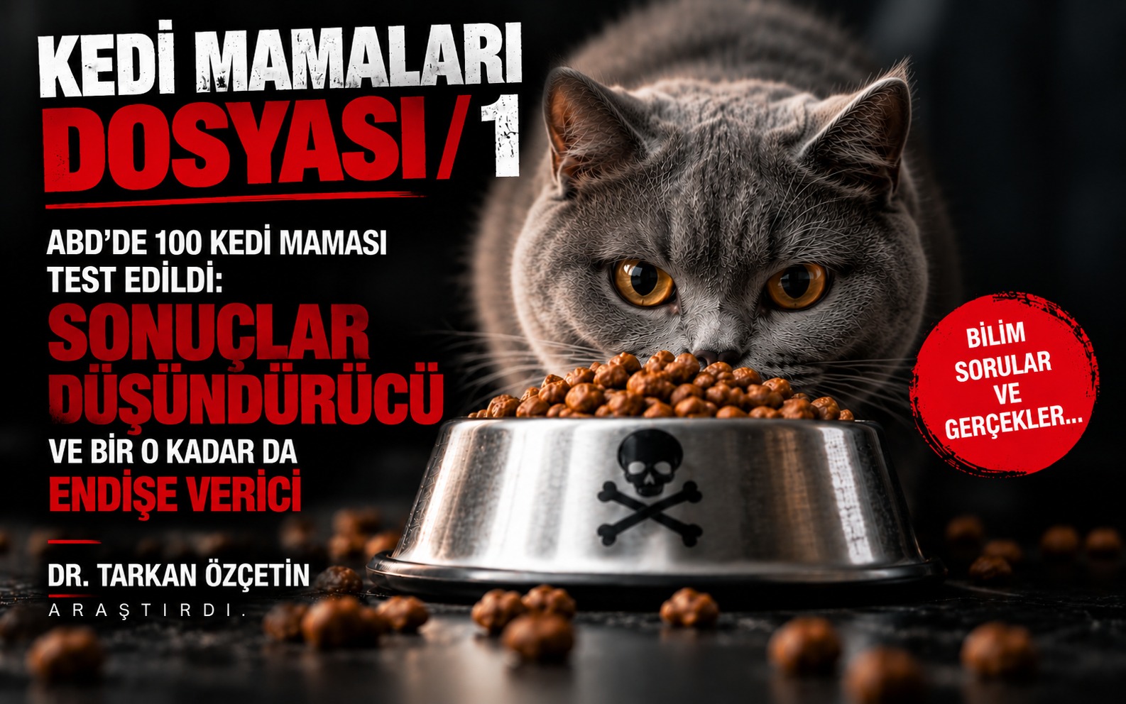 KEDİ MAMALARI DOSYASI / 1
ABD’DE 100 KEDİ MAMASI TEST EDİLDİ: SONUÇLAR DÜŞÜNDÜRÜCÜ VE BİR O KADAR DA ENDİŞE VERİCİ
