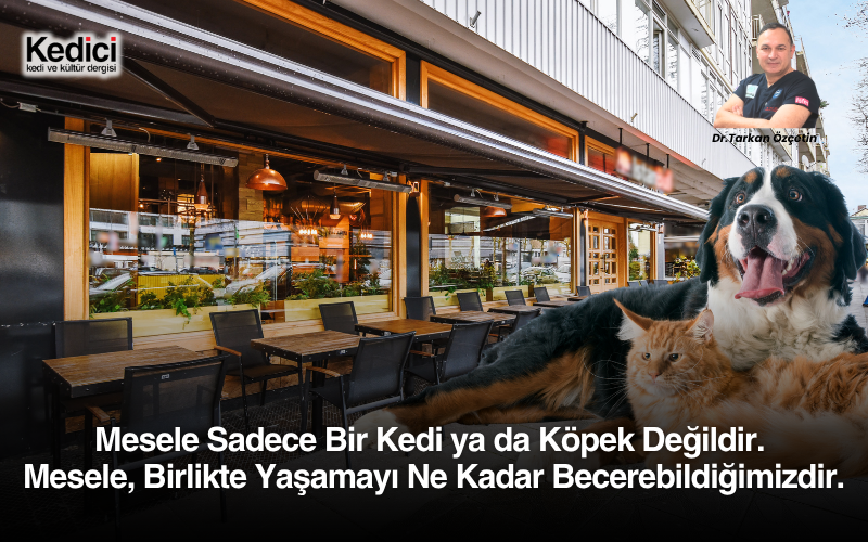 Mesele Sadece Bir Kedi ya da Köpek Değildir. 
Mesele, Birlikte Yaşamayı Ne Kadar Becerebildiğimizdir.
