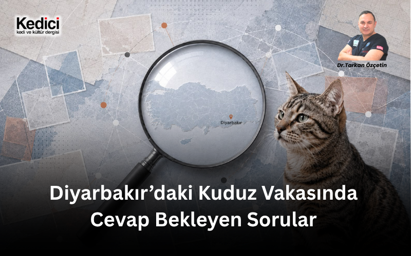 Diyarbakır’daki Kuduz Vakasında Cevap Bekleyen Sorular