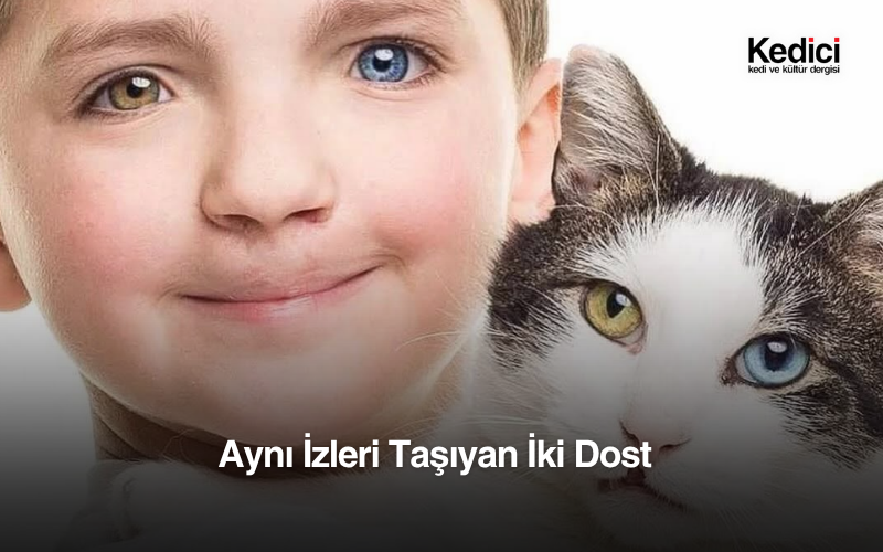 Aynı İzleri Taşıyan İki Dost