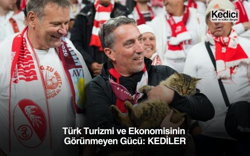 Türk Turizmi ve Ekonomisinin Görünmeyen Gücü: KEDİLER