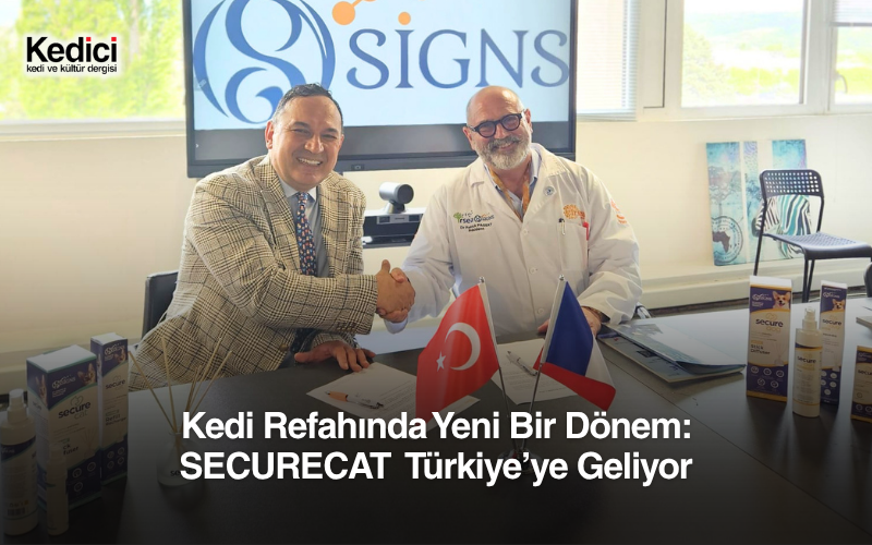  KEDİ REFAHINDA YENİ BİR DÖNEM: SECURECAT TÜRKİYE’YE GELİYOR