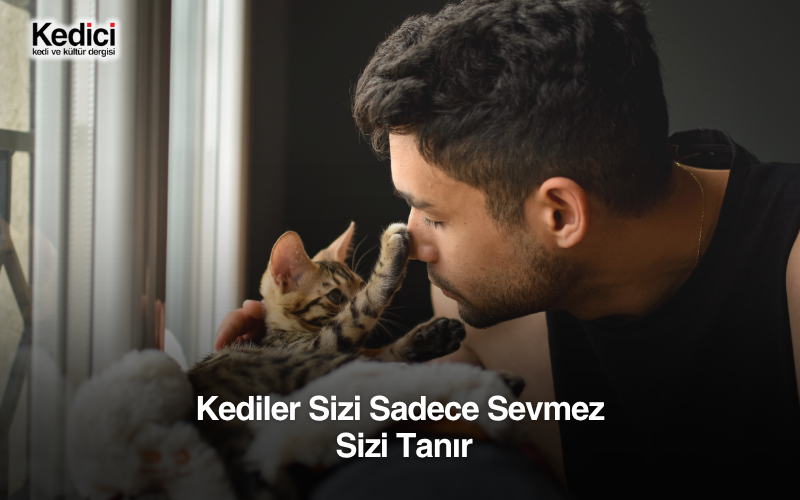 Kediler Sizi Sadece Sevmez, Sizi Tanır