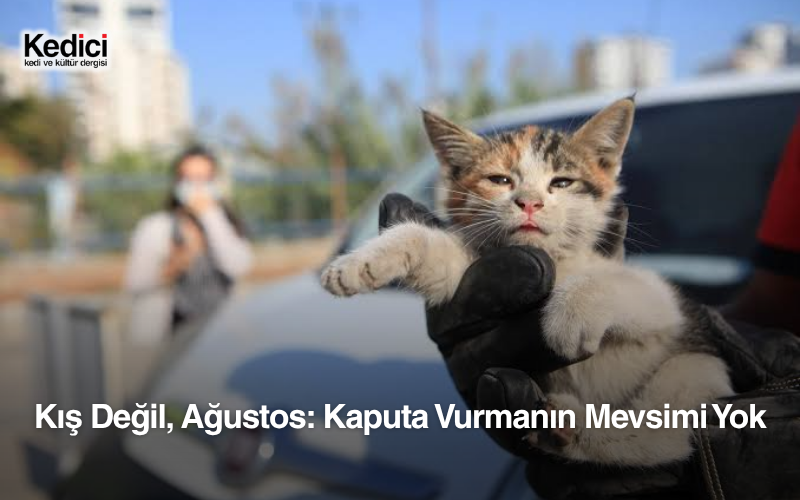 Kış Değil, Ağustos: Kaputa Vurmanın Mevsimi Yok
