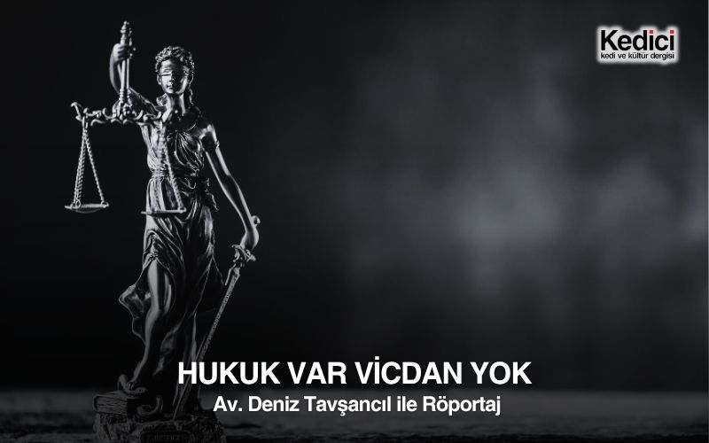 HUKUK VAR VİCDAN YOK
 Av. Deniz Tavşancıl ile Röportaj
