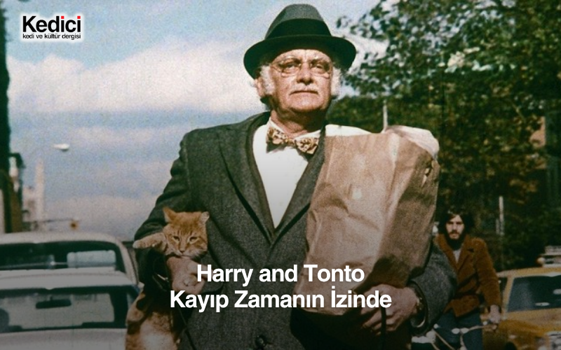 Harry and Tonto: Kayıp Zamanın İzinde