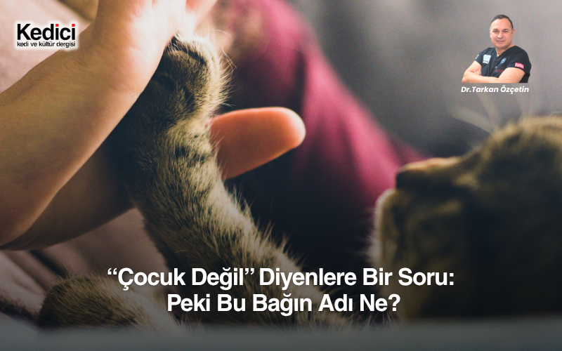 “Çocuk Değil” Diyenlere Bir Soru: Peki Bu Bağın Adı Ne?