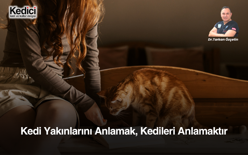 Kedi Yakınlarını Anlamak, Kedileri Anlamaktır