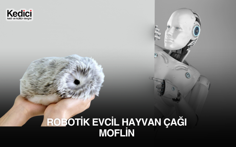 Robotik Evcil Hayvan Çağı Moflin