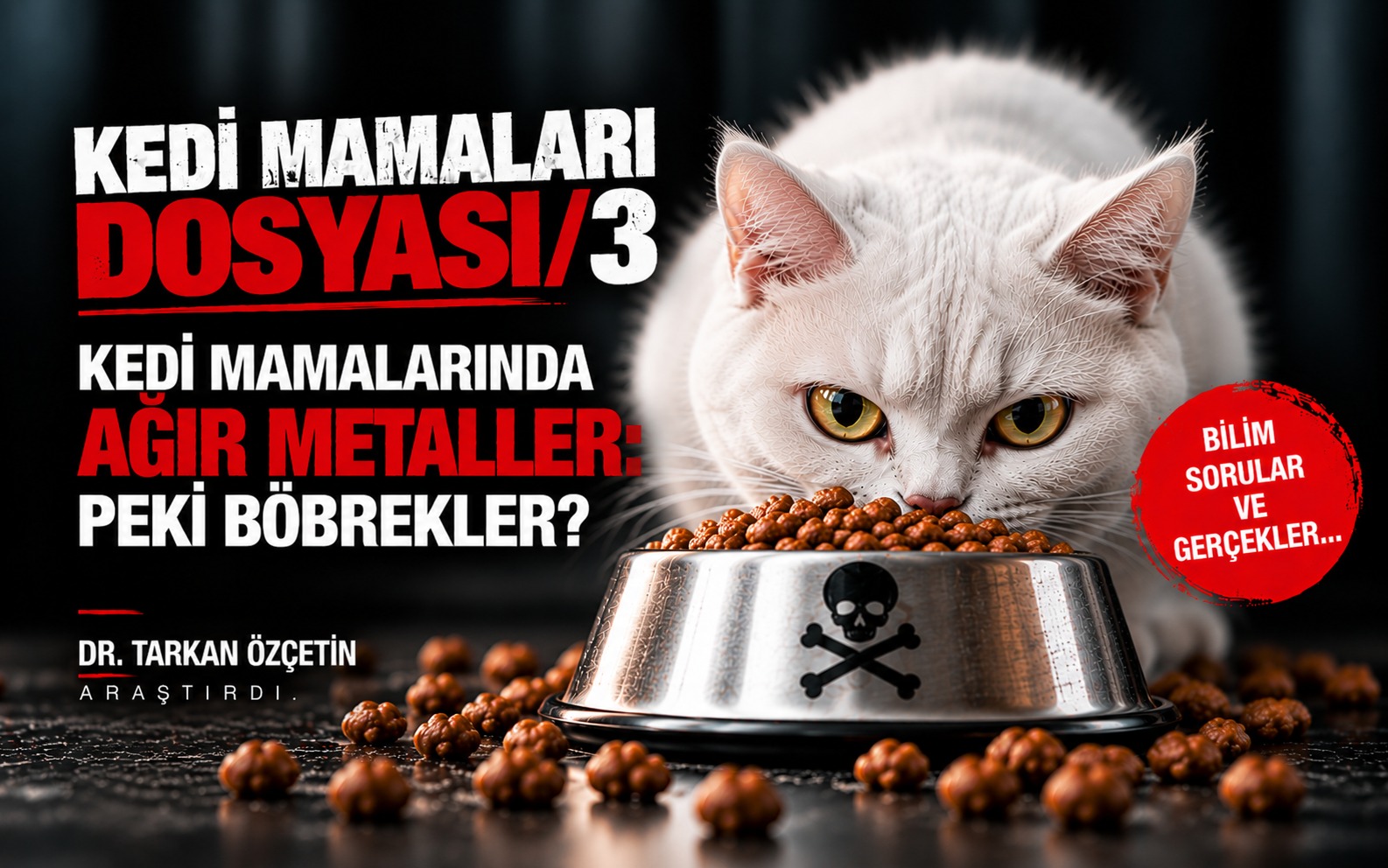 KEDİ MAMALARI DOSYASI / 3
KEDİ MAMALARINDA AĞIR METALLER: PEKİ BÖBREKLER?
