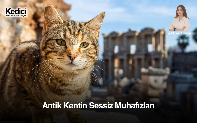 Antik Kentin Sessiz Muhafızları