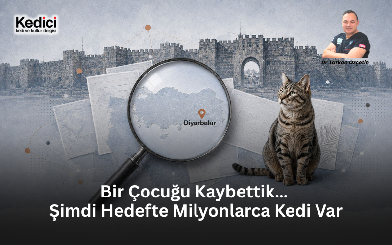 Bir Çocuğu Kaybettik… 
Şimdi Hedefte Milyonlarca Kedi Var