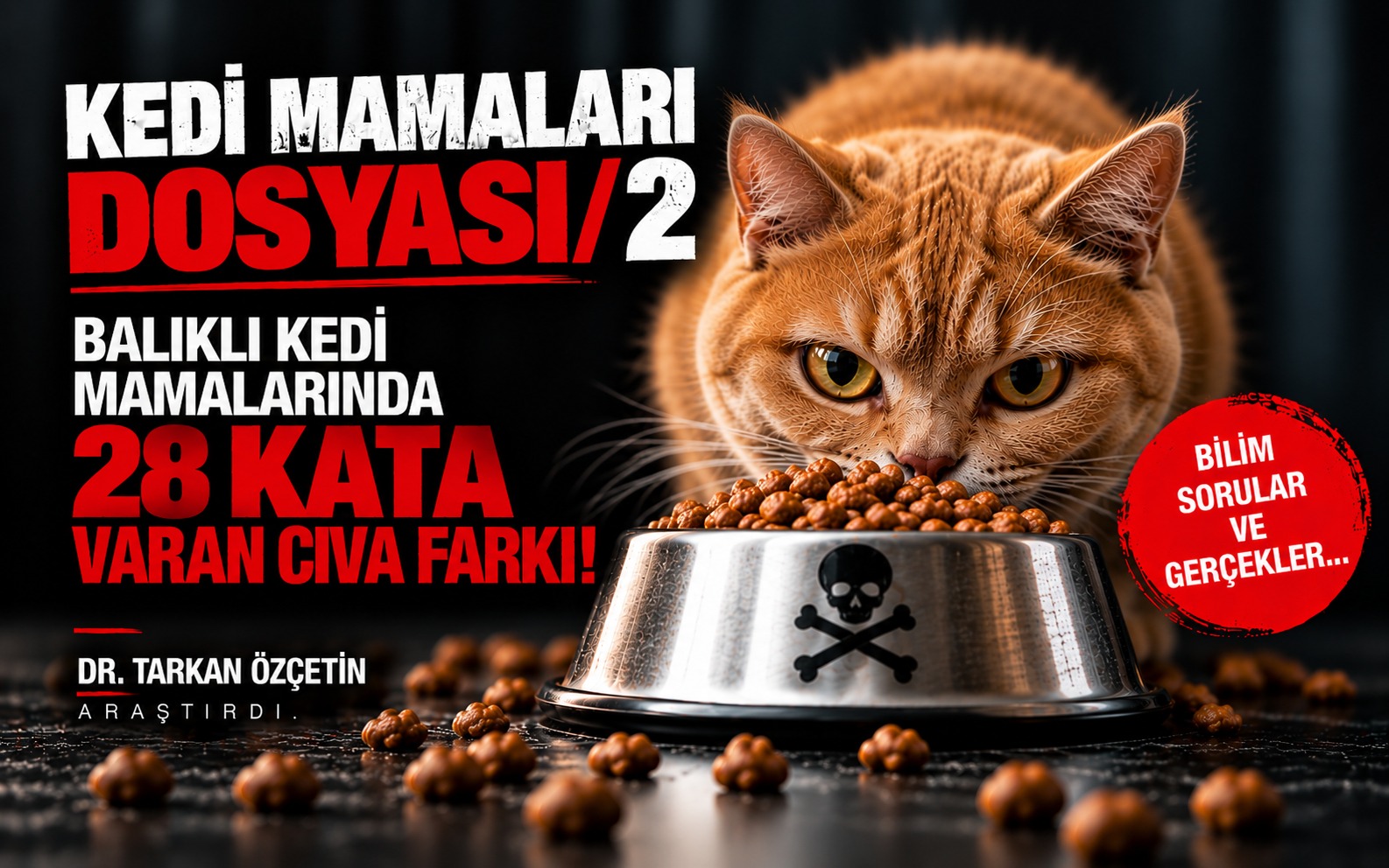 KEDİ MAMALARI DOSYASI / 2
BALIKLI KEDİ MAMALARINDA 28 KATA VARAN CIVA FARKI!
