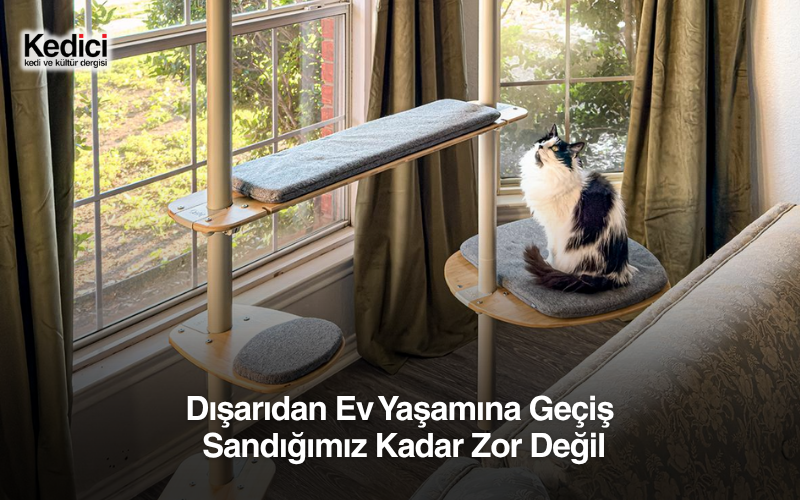 Dışarıdan Ev Yaşamına Geçiş Sandığımız Kadar Zor Değil