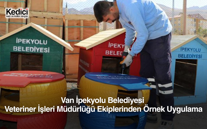 Van İpekyolu Belediyesi Veteriner İşleri Müdürlüğü Ekiplerinden Örnek Uygulama
