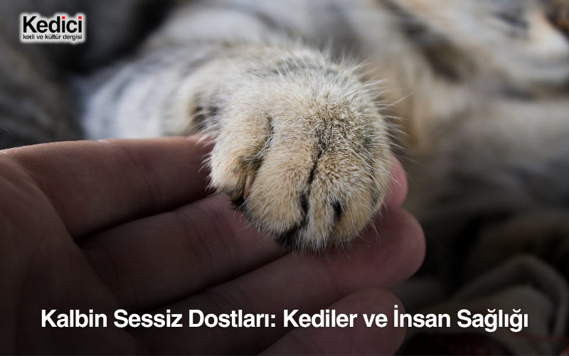 Kalbin Sessiz Dostları: Kediler ve İnsan Sağlığı