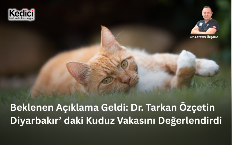 Beklenen Açıklama Geldi: Dr. Tarkan Özçetin Diyarbakır’ daki Kuduz Vakasını Değerlendirdi