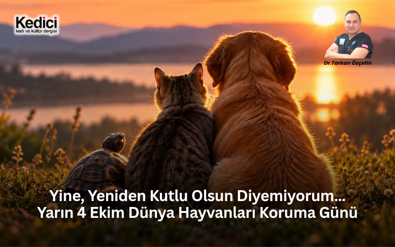 Yine, Yeniden Kutlu Olsun Diyemiyorum… Yarın 4 Ekim Dünya Hayvanları Koruma Günü