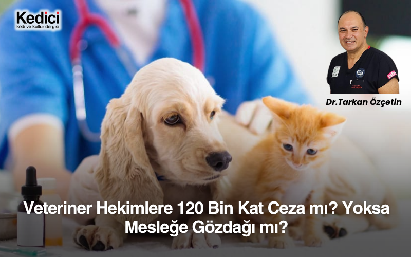 Veteriner Hekimlere 120 Bin Kat Ceza mı? Yoksa Mesleğe Gözdağı mı?