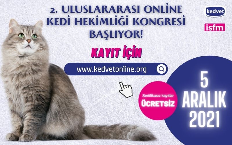 2. Uluslararası Online Kedi Hekimliği Kongresi Başlıyor!
